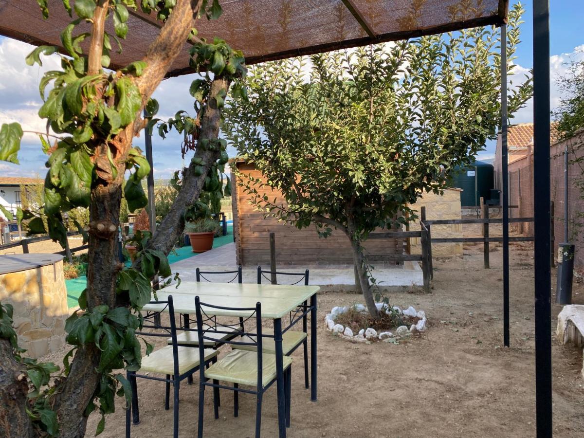 Alojamiento Rural Setenil Setenil De Las Bodegas Zewnętrze zdjęcie