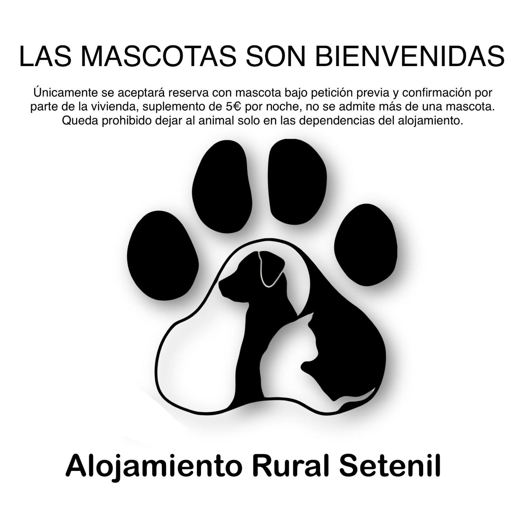 Alojamiento Rural Setenil Setenil De Las Bodegas Zewnętrze zdjęcie